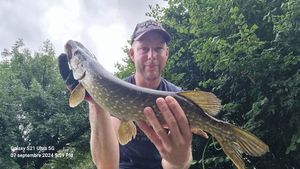 Northern Pike