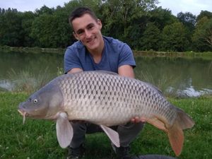 Common Carp