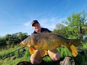 Mirror Carp