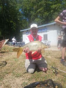 Common Carp