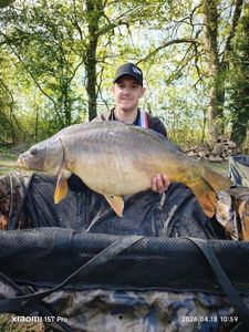 Mirror Carp