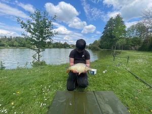 Common Carp