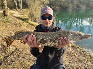 Northern Pike