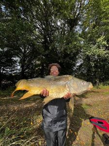 Mirror Carp