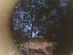 Leather Carp