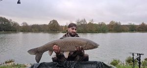 Grass Carp