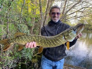 Northern Pike