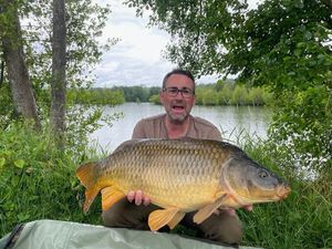 Common Carp