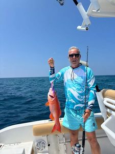 Bluespotted seabass