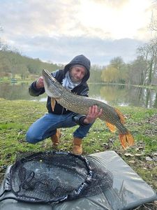 Northern Pike