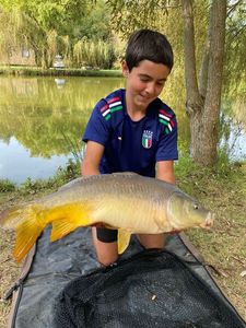 Mirror Carp