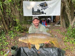 Common Carp