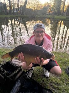 Mirror Carp