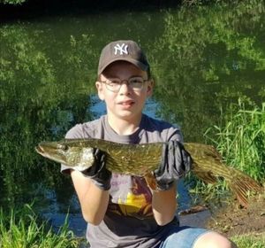 Northern Pike