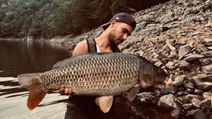 Common Carp