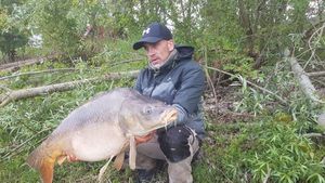 Mirror Carp