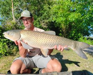 Grass Carp
