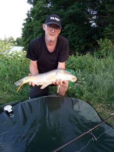 Common Carp