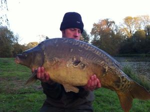 Mirror Carp