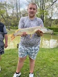 Northern Pike