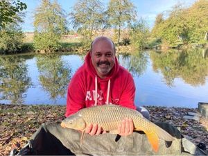 Common Carp