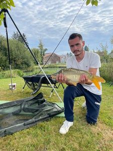 Mirror Carp