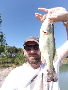 Smallmouth Bass
