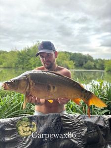 Leather Carp