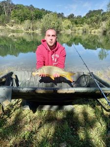 Common Carp
