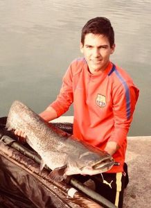 Wels