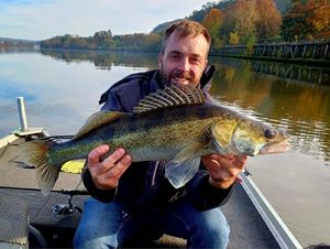 Zander