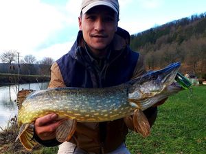 Northern Pike