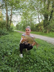 Common Bream