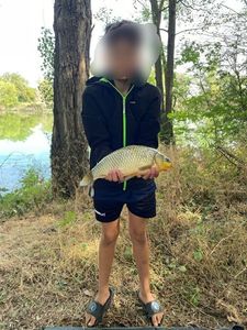 Prussian Carp