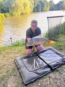Mirror Carp