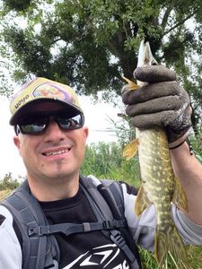 Northern Pike