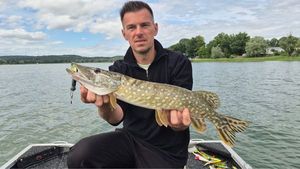 Northern Pike