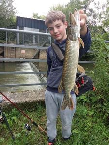 Northern Pike
