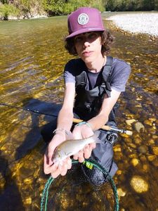Common Dace