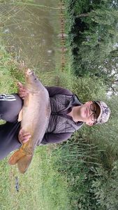 Mirror Carp