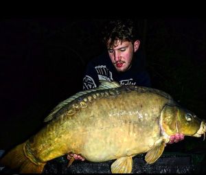 Mirror Carp