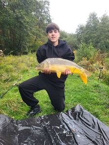 Mirror Carp