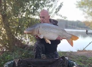 Common Carp