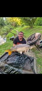 Mirror Carp