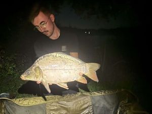 Mirror Carp