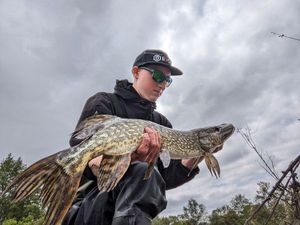 Northern Pike