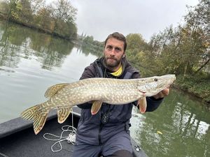 Northern Pike