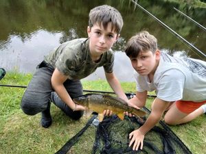 Mirror Carp