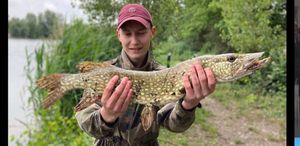 Northern Pike