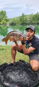 Leather Carp
